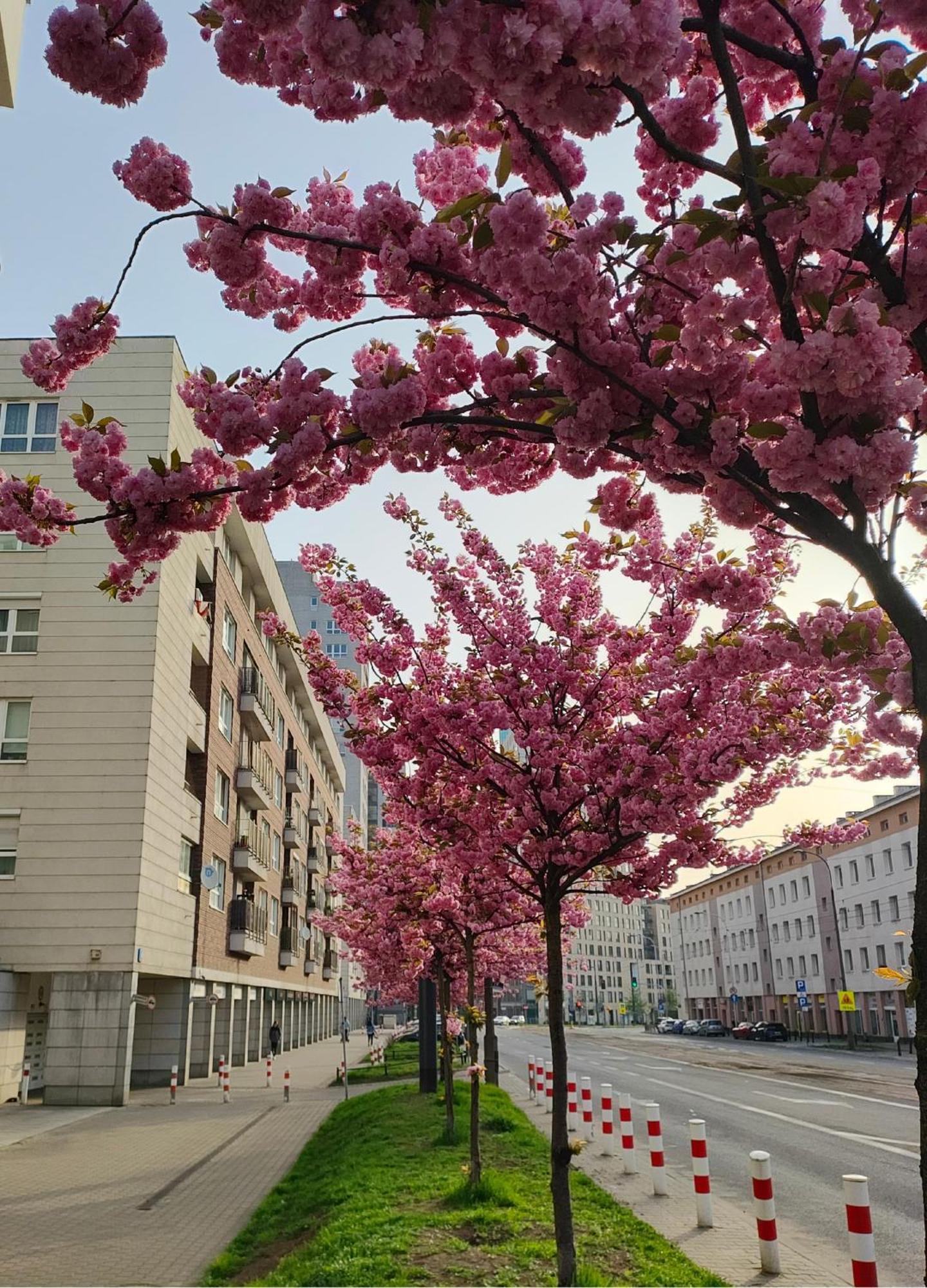 Apartmán Totutotam Varšava Exteriér fotografie